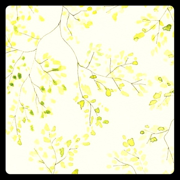 Meet your Posher, Bri - Picture 1 of 1